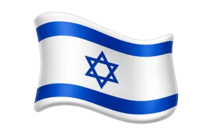 Bi-national Chambers